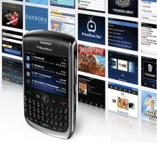 learn BlackBerry Application Development training course