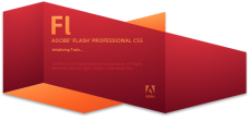 learn Adobe Flash training course