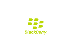 BlackBerry Application Development image