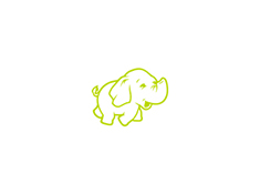 Hadoop image