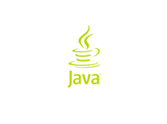 Introduction to Java Programming image