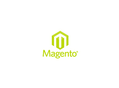 Magento development image