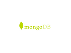 mongoDB image