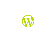 WordPress Plugin Development image